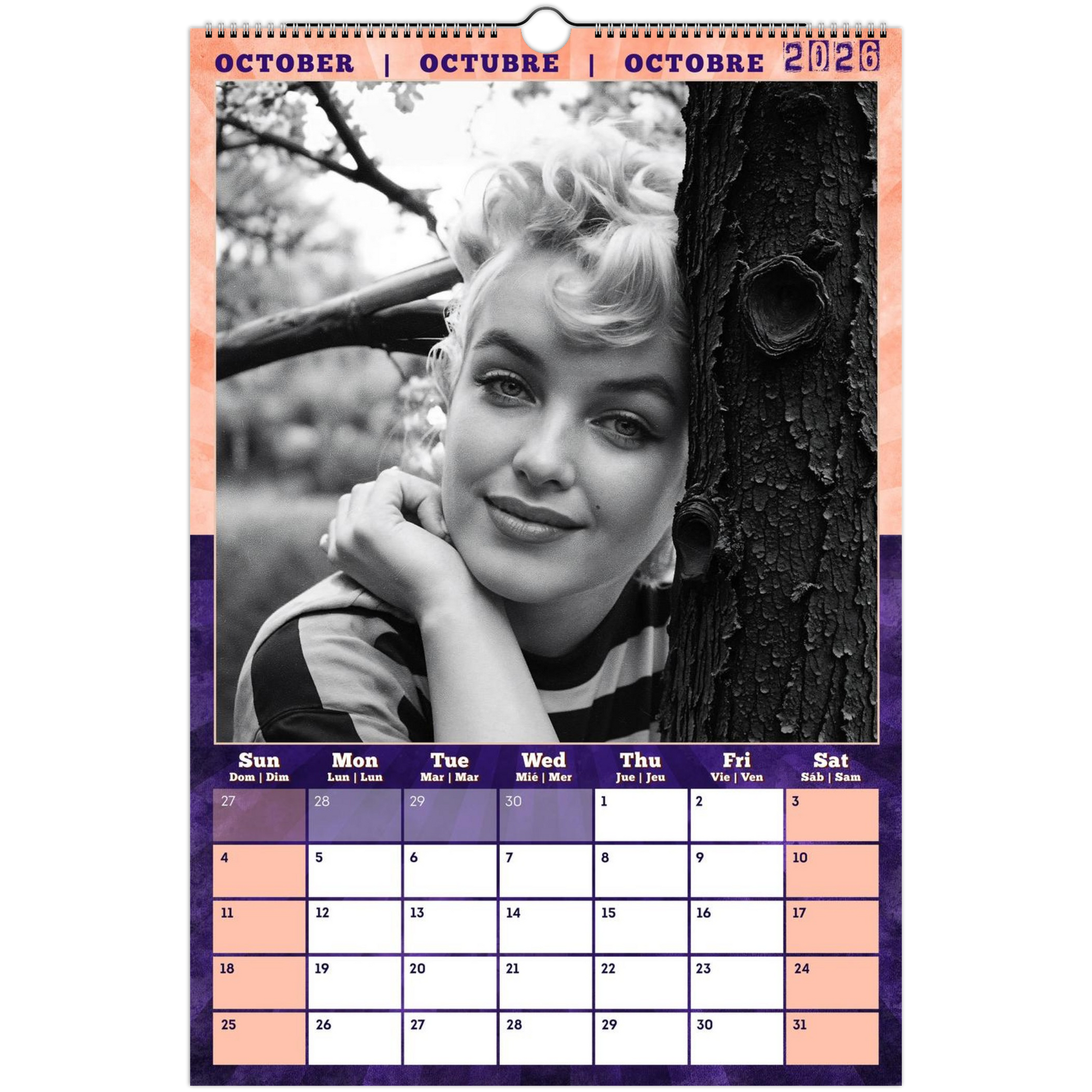 cff945f7-48a6-4a4a-8d96-98d9aeb4969a